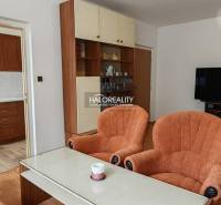 Living room in a 3-room apartment with sofas and an open kitchen, floor with wood decor.