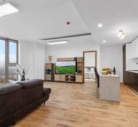 Open living room with kitchen, wooden decor flooring, 3-room apartment.