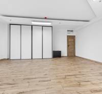 A spacious room with a wooden decor floor, doors, and a built-in wardrobe.