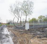 Forest road near residential plots on Nad potokom Street in Zohor.