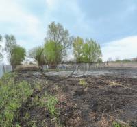 Plots - living near the street Nad potokom in Zohor with fencing and trees in the background.