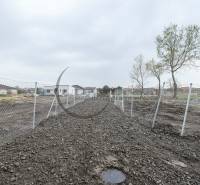 Plot of land for residential development in Zohor on Nad potokom street.