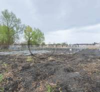 Plots - housing on Nad potokom street in Zohor, fenced area with trees.
