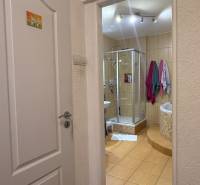 A bathroom in a 3-room apartment with ceramic tiles and a shower corner.