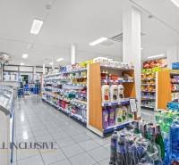 Retail space with shelves and cleaning products, floor with wooden decor.