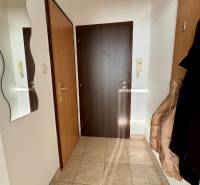 Entrance hall in a studio apartment with tiles, a coat rack, and a mirror.