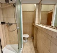A bathroom in a studio apartment with a curved shower, includes a mirror and a toilet.