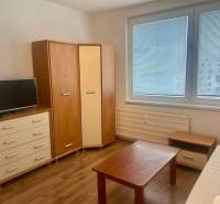 Studio apartment with TV, furniture, and wood-patterned flooring, illuminated by natural light.