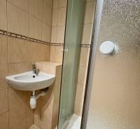 A bathroom in a studio apartment with a sink and a shower, walls tiled.