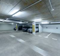 Underground parking space in garages, well-lit, with marked parking spots.