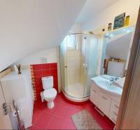 A bathroom in a family house with red tiles, a shower corner, and a white sink.