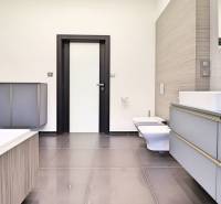 Elegant bathroom with a modern sink and bidet in a 3-room apartment.