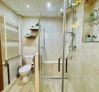 The family house includes a bathroom with a toilet, a shower, and a floor with a wooden decor.