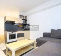 Living room in a studio apartment with a kitchen, sofa, and table.