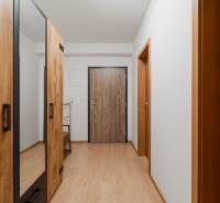 A hallway in a 2-room apartment with a wooden decor floor and a wardrobe.