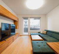 Living room in a two-room apartment with a wooden decor floor and a large sofa.