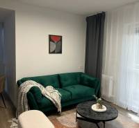 Living room in a three-room apartment with a dark green sofa, a round table, and a wooden decor floor.