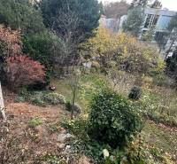 A garden with dense greenery and trees, autumn atmosphere, buildings in the distance.