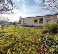 Commercial premises on Školská Street in Holíč with grassy surroundings and trees.