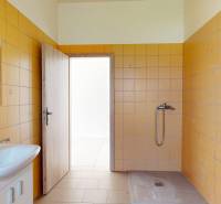 Bathroom space in commercial premises with orange tiles and a shower without a curtain.