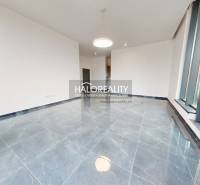 Offices with large windows and glossy tiles, part of the space for rent.