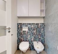 Toilet and bidet, mosaic tiles, gray tiles, storage cabinet, clean office interior.