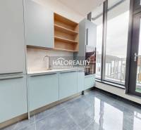 A bright kitchen with modern cabinets and large windows in the offices.