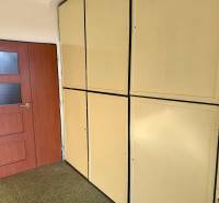 Wooden doors and built-in wardrobes in a 3-room apartment with a wooden decor floor.
