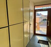 Entrance hall with wardrobes and glass doors in a 3-room apartment on Ružová Street in Senica.