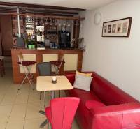Red sofa and bar counter in commercial premises with glass and wood decor.