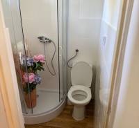 Bathroom with toilet, shower, and wooden decor flooring in commercial premises.