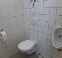 Bathroom with a wall-hung toilet and urinal, divided by white tiles.