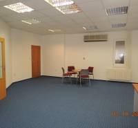 Offices with blue carpet, ceiling lights, desks, and chairs.