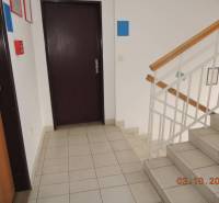 Stairs and doors in offices, with tiles and railings on the stairs.