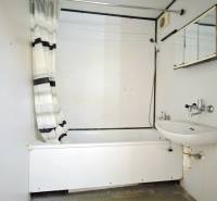 Bathroom in a studio apartment with a shower curtain and a mirrored cabinet above the sink.