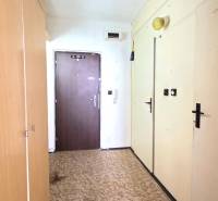 Entrance hallway in a one-room apartment with a wooden wardrobe and dark doors.