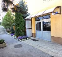 Entrance to the building on Pribišova Street, Bratislava - Dlhé diely, lined with greenery and flowers.