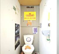 A small bathroom with a toilet, decorated with posters and stickers in a studio apartment.