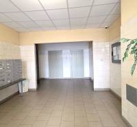 A hallway with mailboxes and an entrance to the elevators in a residential building.