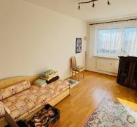 A room in a 4-room apartment with a wooden decor floor and a sofa.