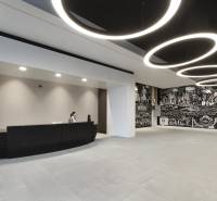 Reception in a 3-room apartment with a designer wall and circular lighting.