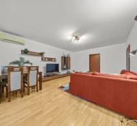 Living room in a two-room apartment with a wooden decor floor and a red sofa.