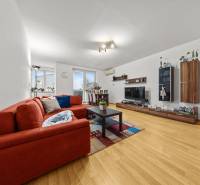 Living room in a two-room apartment with a wooden decor floor, a sofa, and a television.