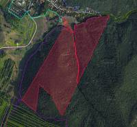 A shot from the Necpaly area shows forest lands with marked boundaries and infrastructure.