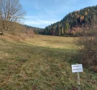 Sale Agrarian and forest land, Agrarian and forest land, Brezno, Slova