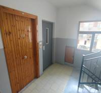 Staircase in a 2-room apartment with wooden doors and a window.