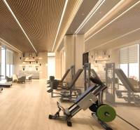 Interior of a gym with sports equipment and wood-patterned flooring.