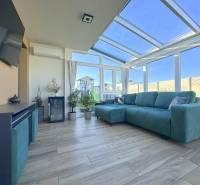 Bright winter garden in a family house with a wooden decor floor and a green sofa.