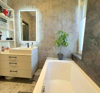 Family house with a bathroom: bathtub, sink, mirror, plant, and storage spaces.