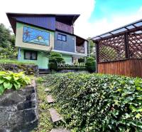 A cottage in Dudince with a colorful facade, a covered terrace, and a landscaped garden full of greenery.